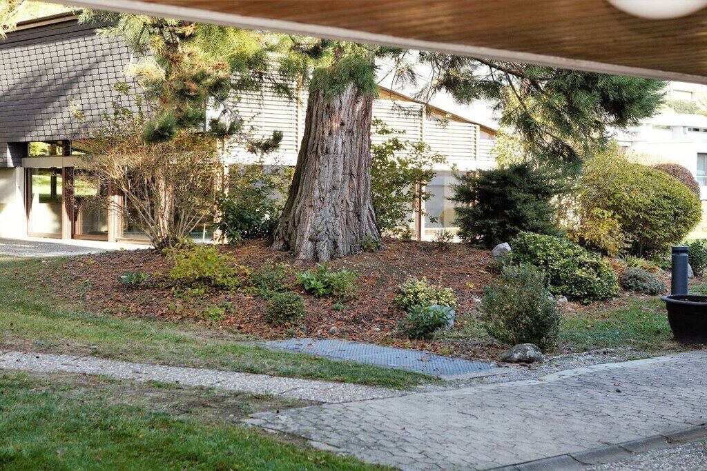 Photo of Outdoor in Reichenau
