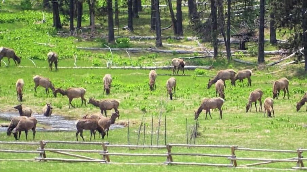 Photo of Others in Elk City
