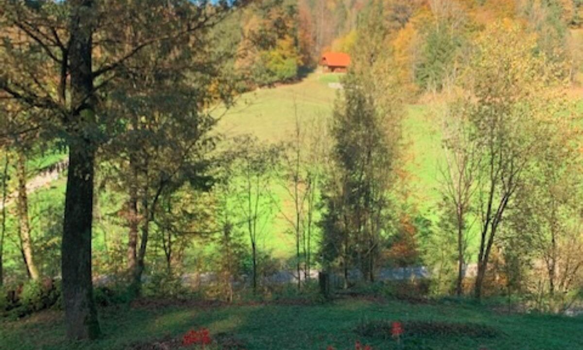 Photo of Outdoor in Kamnik