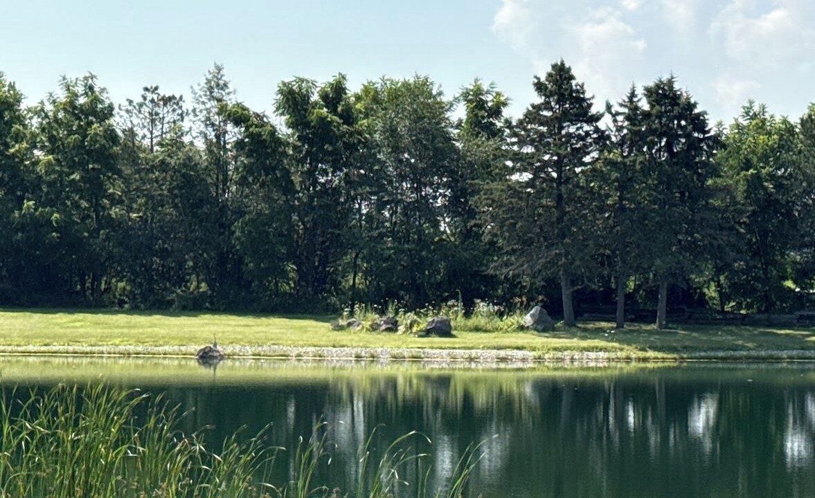 Photo of Others in Union Grove