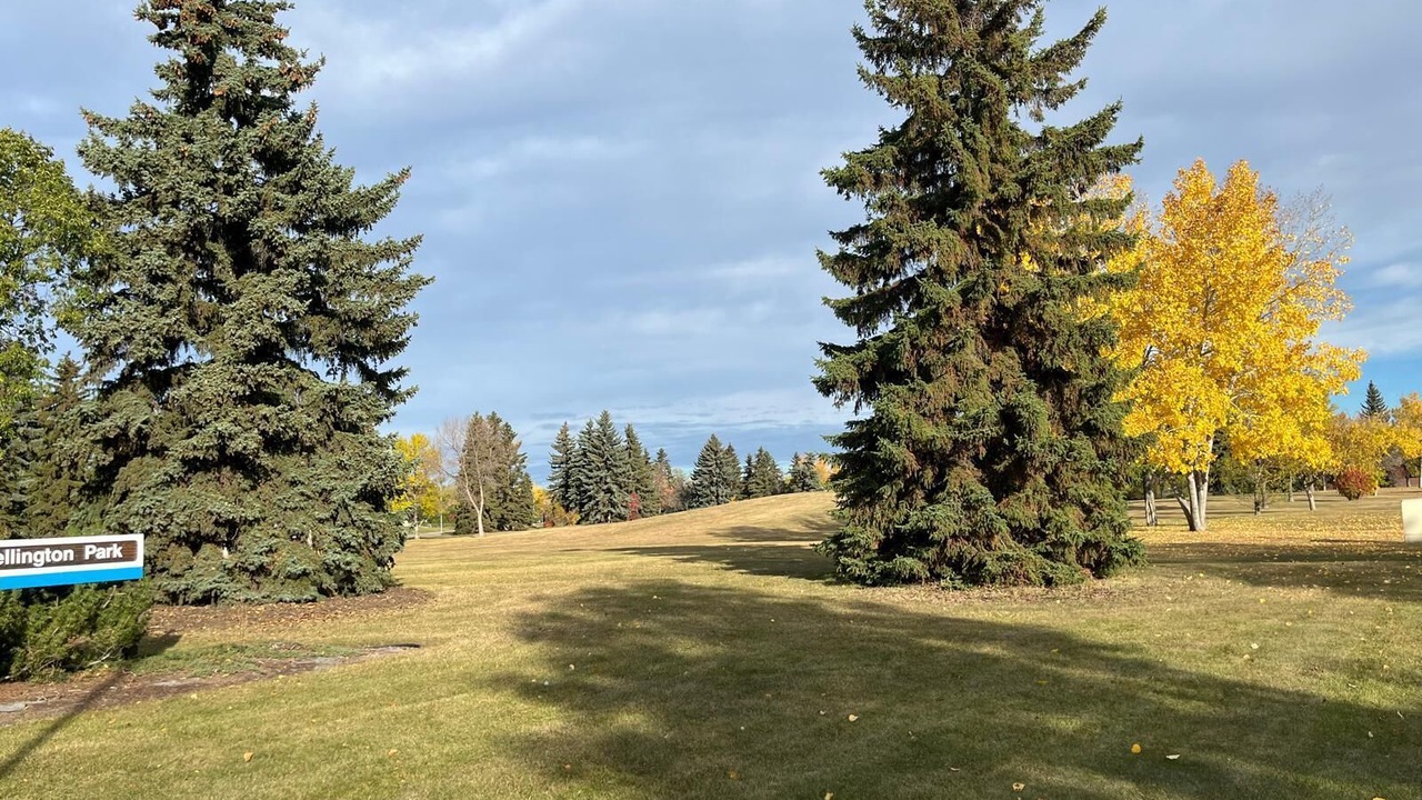 Photo of Others in Northwest Edmonton