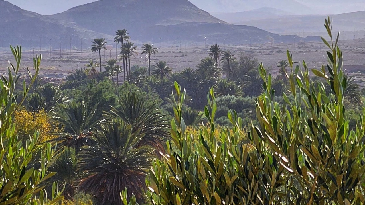 Photo of Outdoor in Ouarzazate