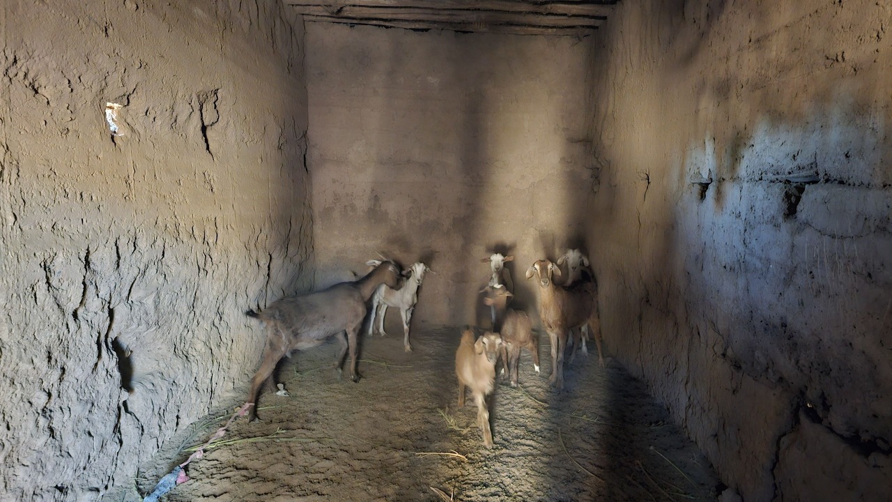 Photo of Others in M'Hamid El Ghizlane