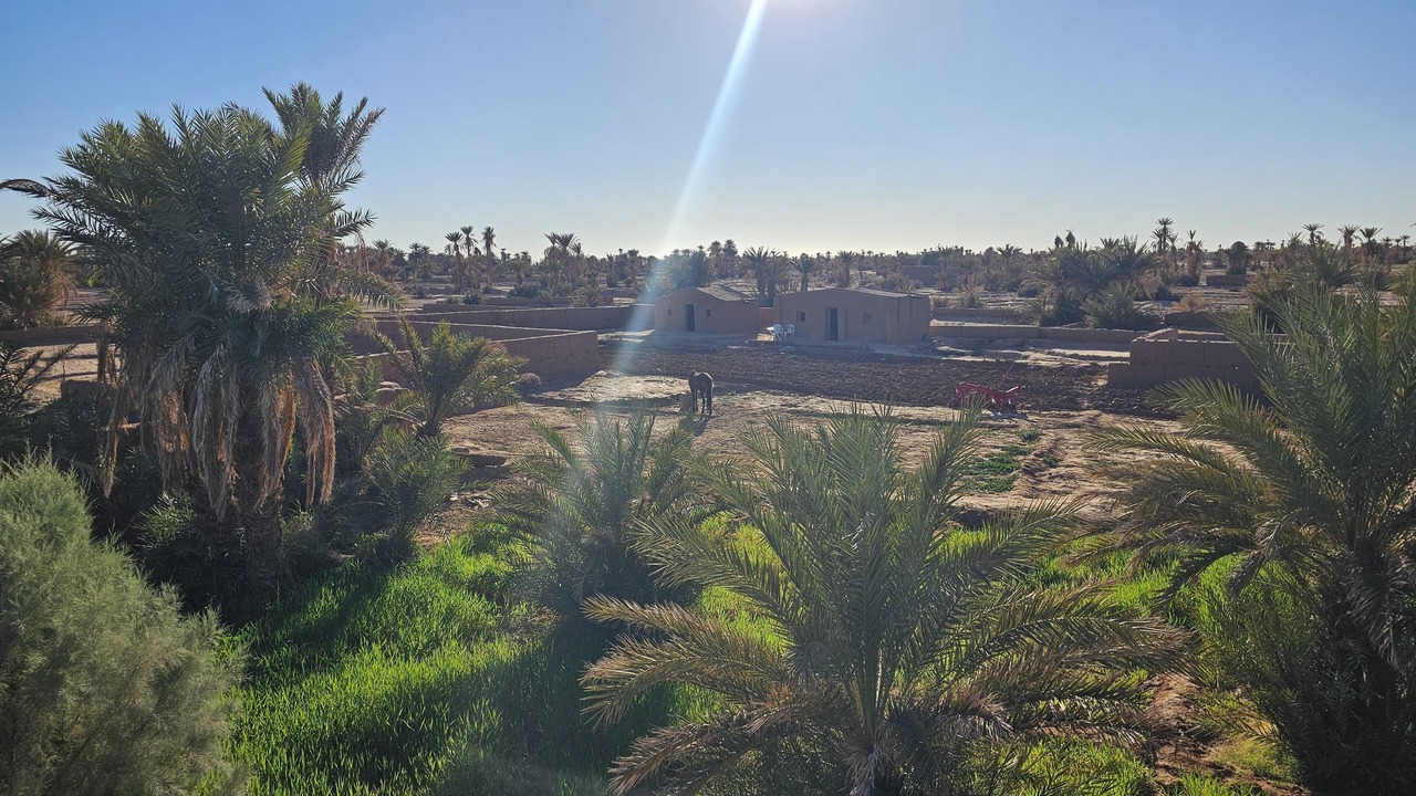 Photo of Outdoor in M'Hamid El Ghizlane