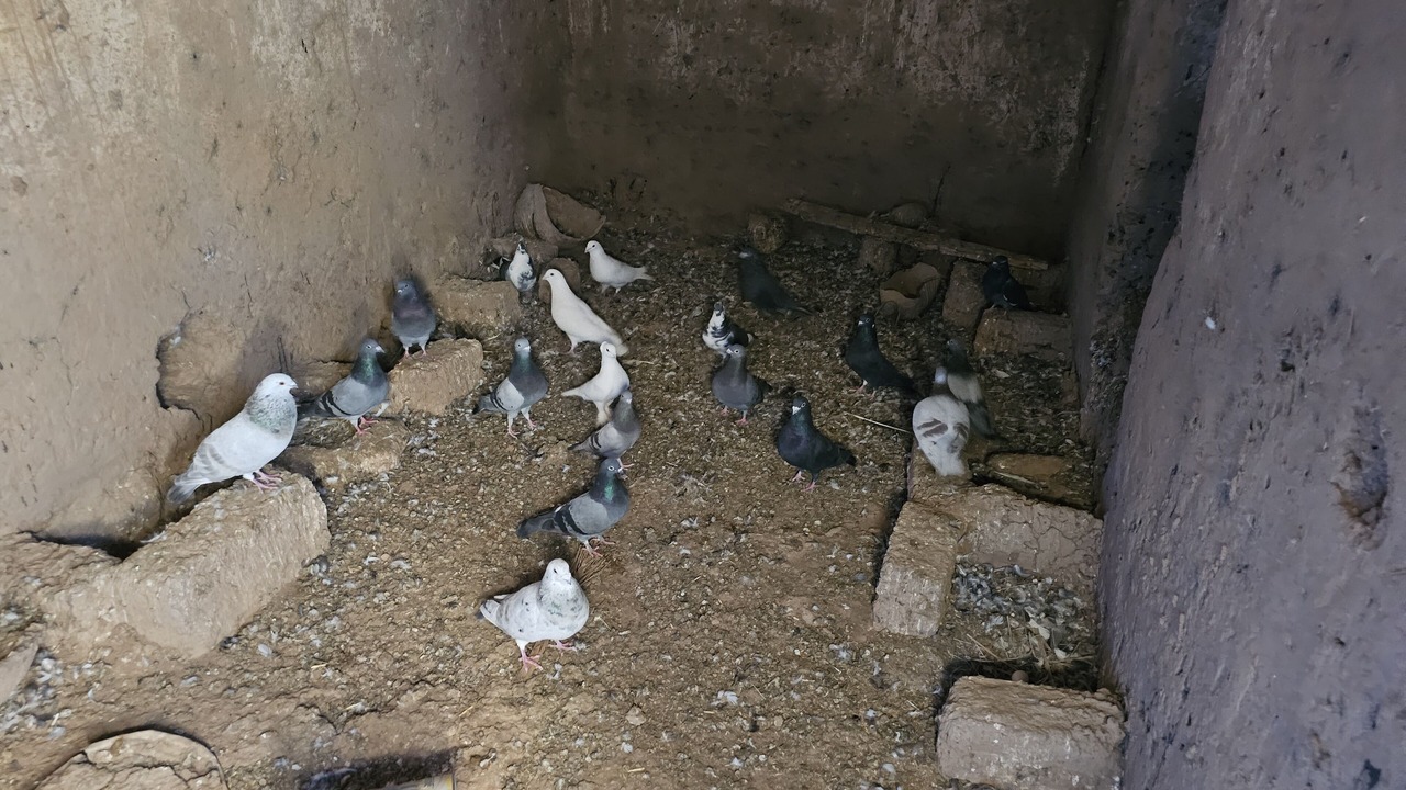 Photo of Others in M'Hamid El Ghizlane