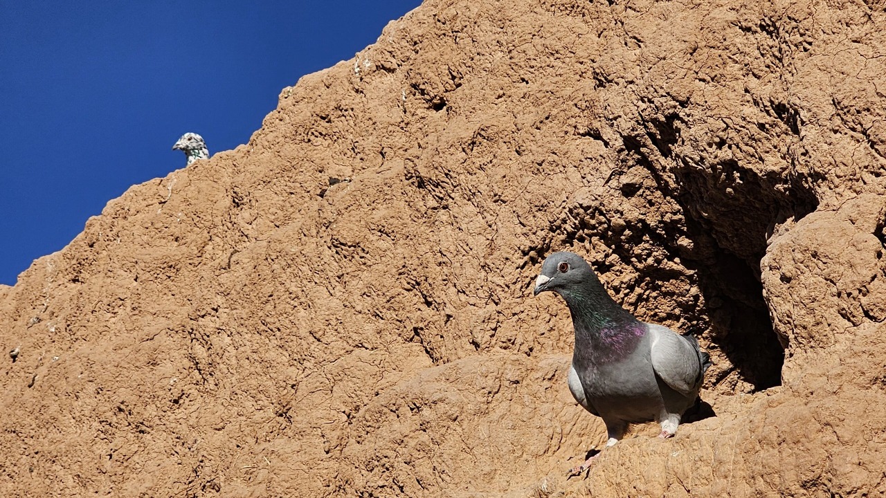 Photo of Others in M'Hamid El Ghizlane