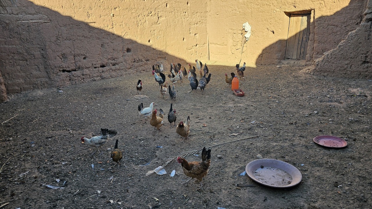 Photo of Others in M'Hamid El Ghizlane