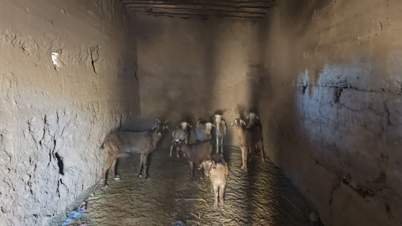 Photo of Others in M'Hamid El Ghizlane