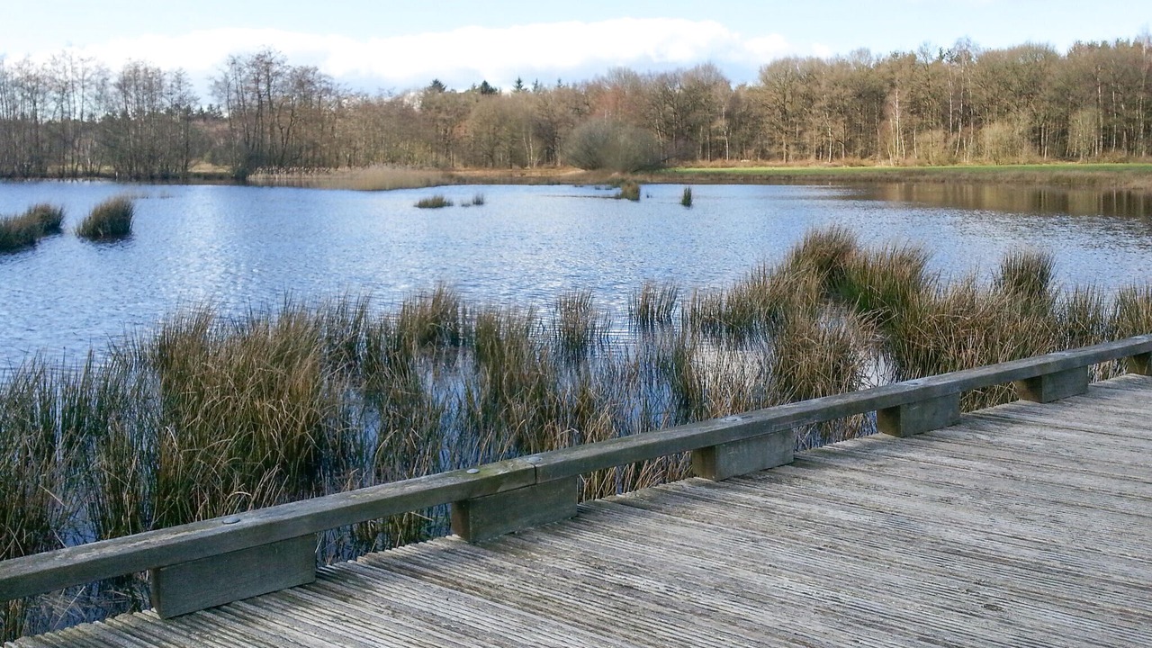 Photo of Others in Diever