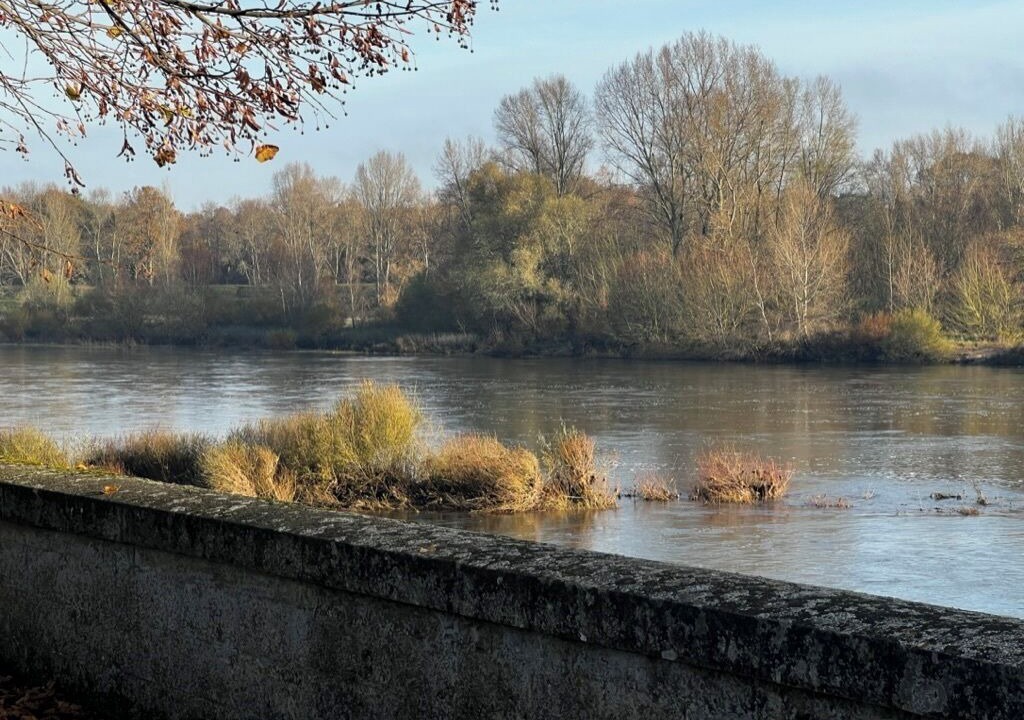 Photo of Others in Orleans