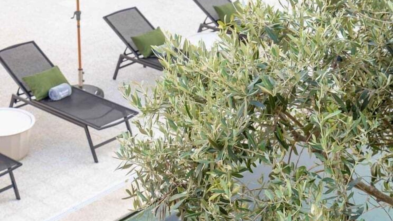 Photo of Outdoor in Cardielos