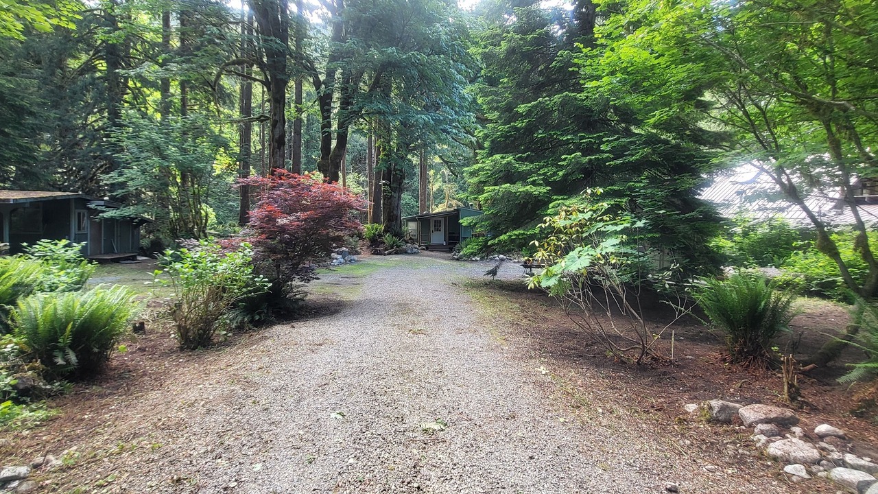 Photo of Outdoor in Marblemount