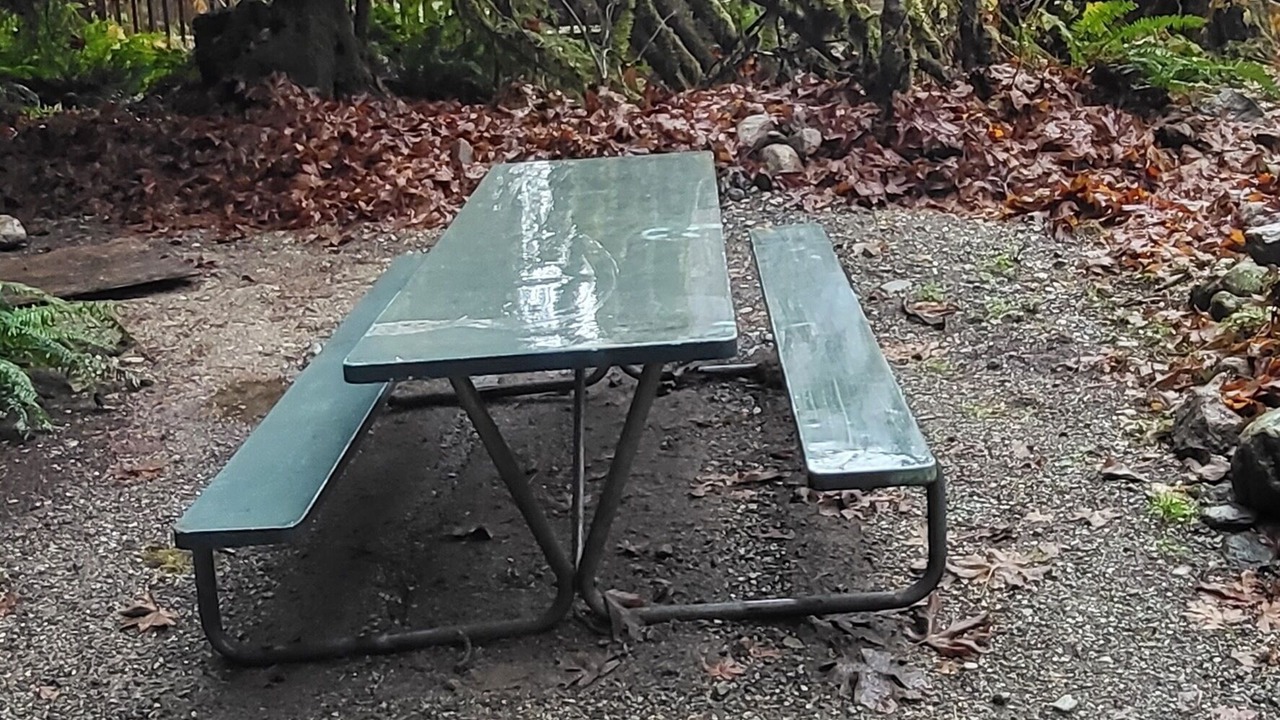 Photo of Outdoor in Marblemount
