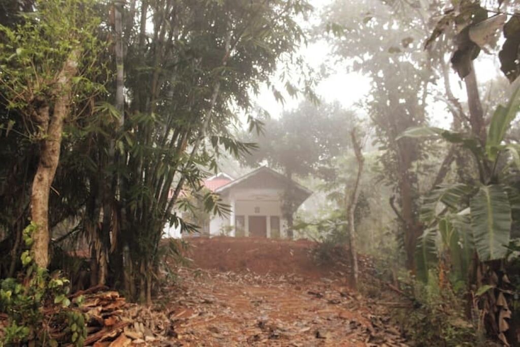 Photo of Outdoor in Mananthavady