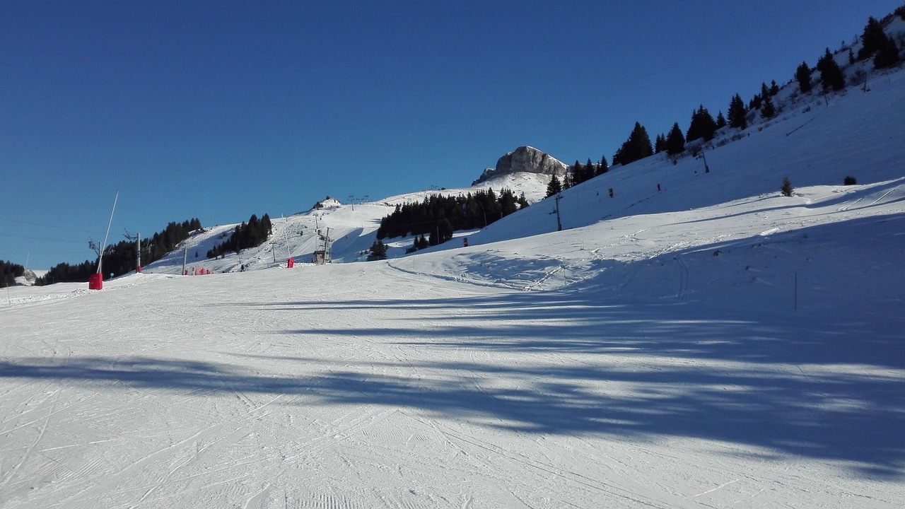 Photo of Others in Thollon-les-Memises