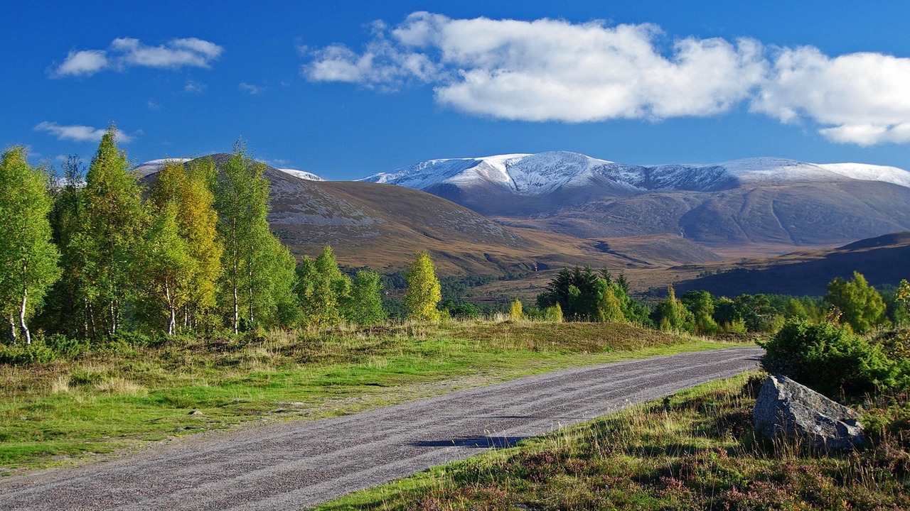 Photo of Others in Aviemore