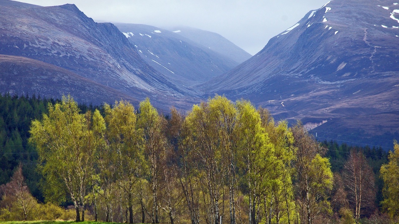 Photo of Others in Aviemore