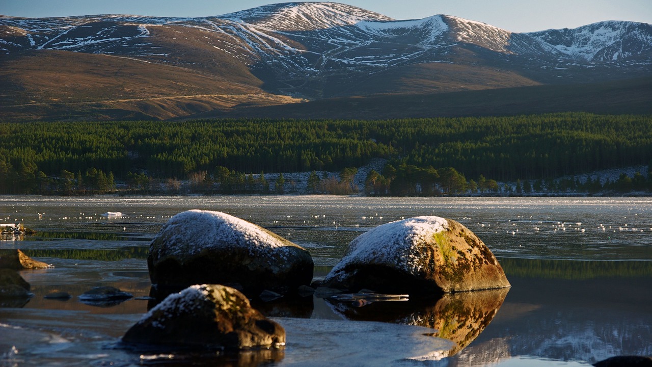 Photo of Others in Aviemore