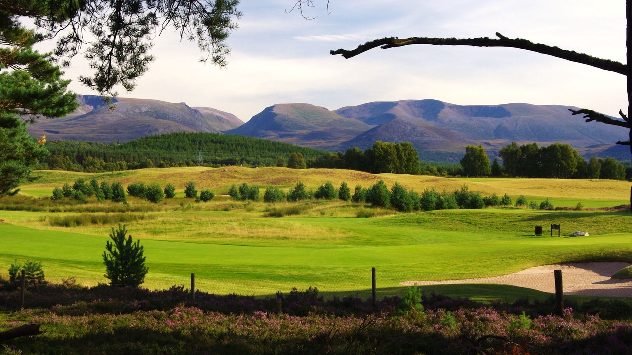 Photo of Others in Aviemore