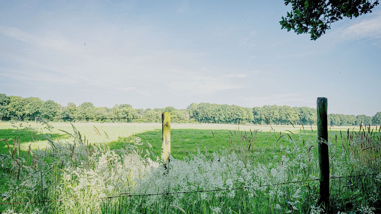 Photo of Others in Municipality of Soest