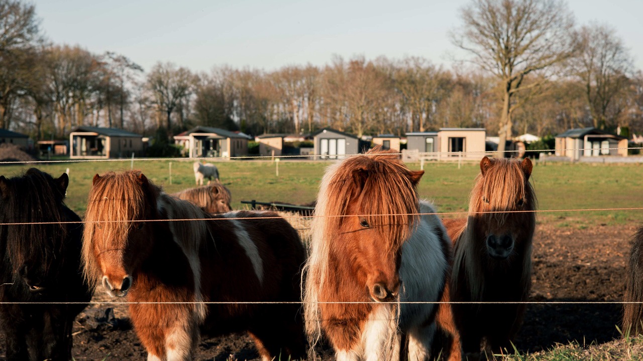 Photo of Others in Hoogersmilde