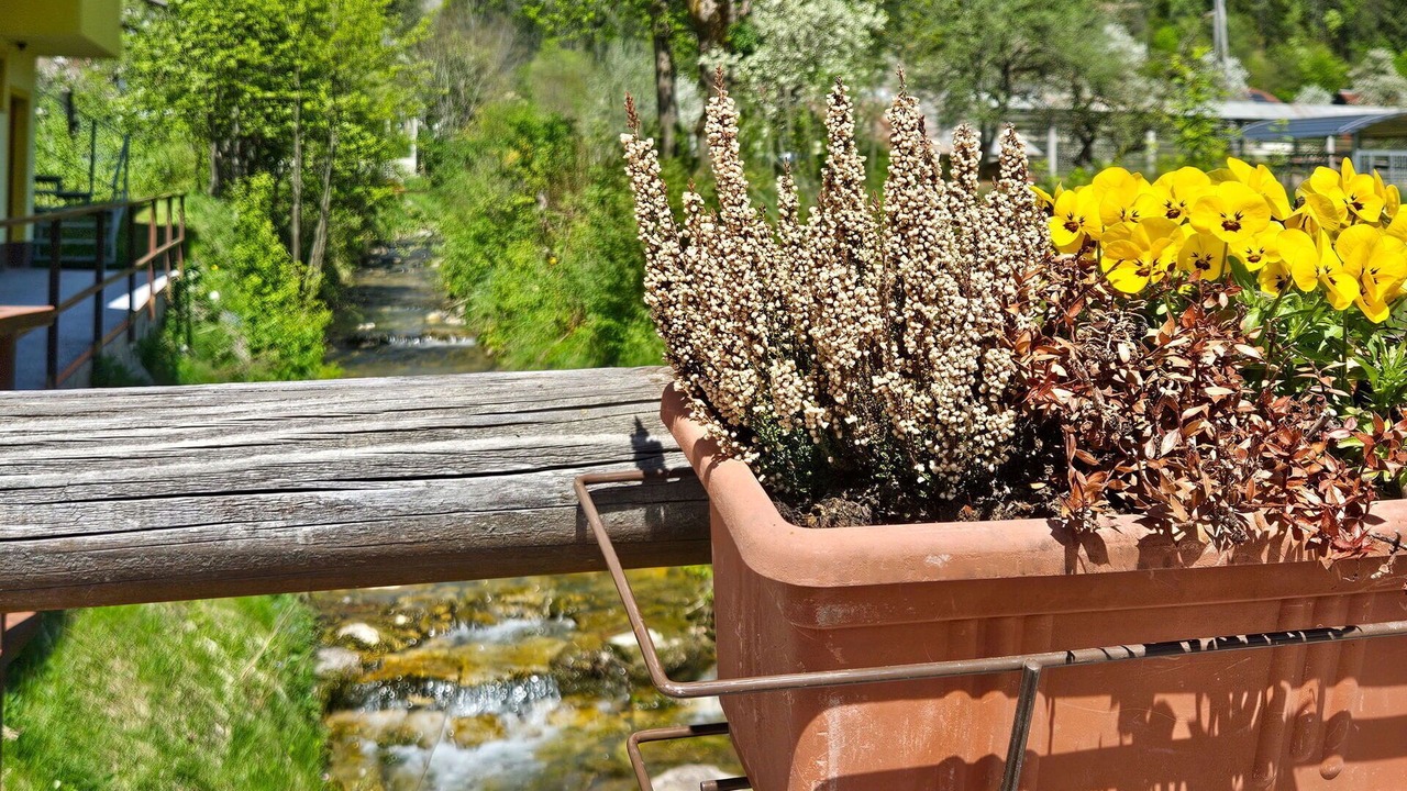 Photo of Outdoor in Ratece