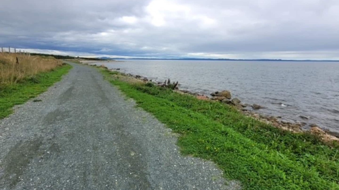 Photo of Others in Conception Bay South