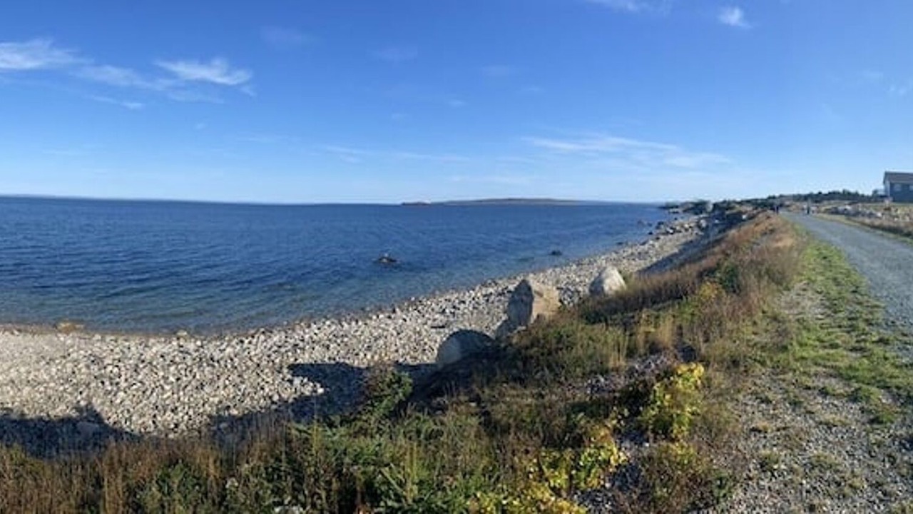 Photo of Others in Conception Bay South