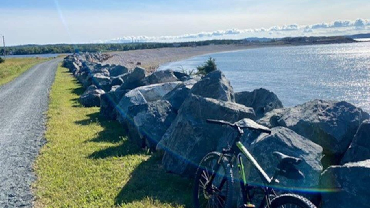 Photo of Others in Conception Bay South