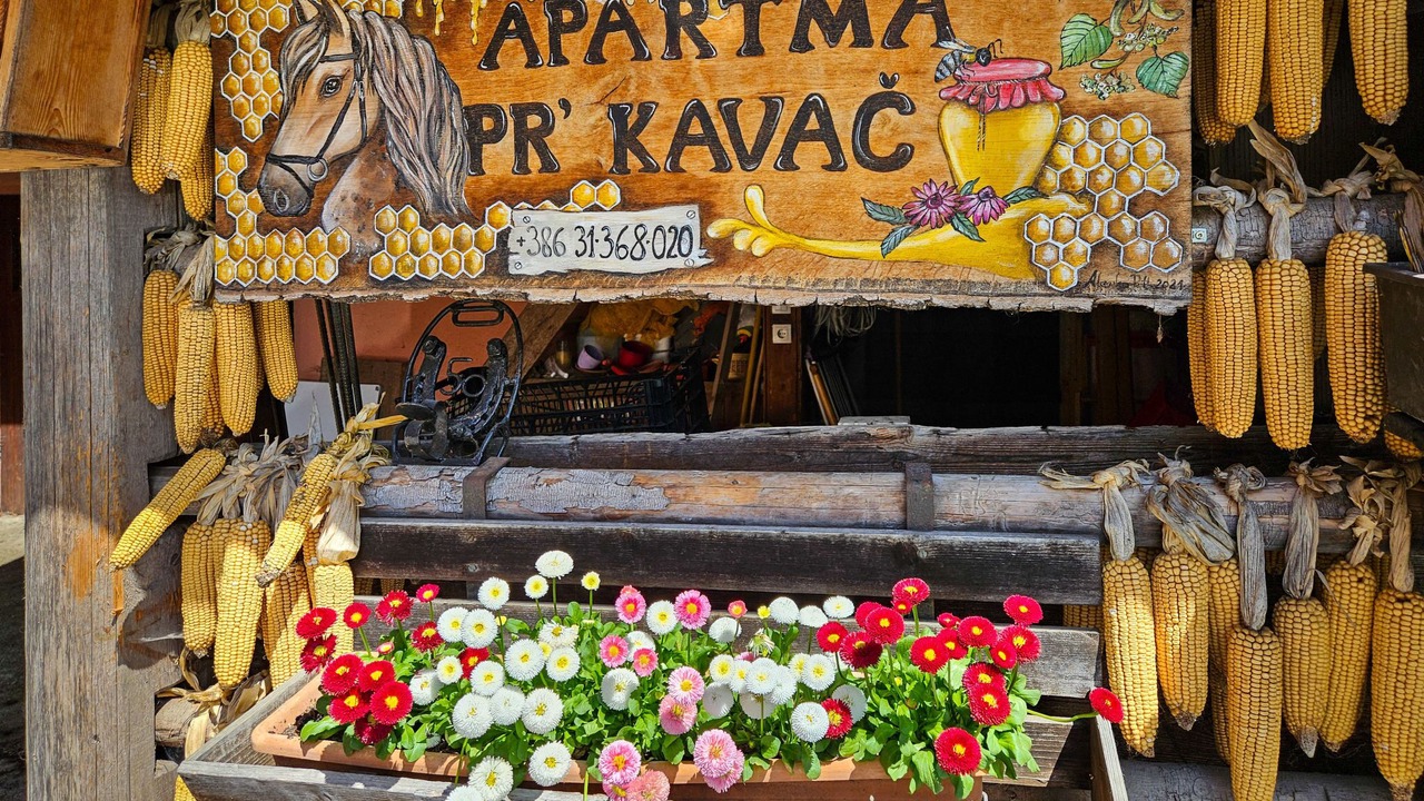 Photo of Outdoor in Ratece