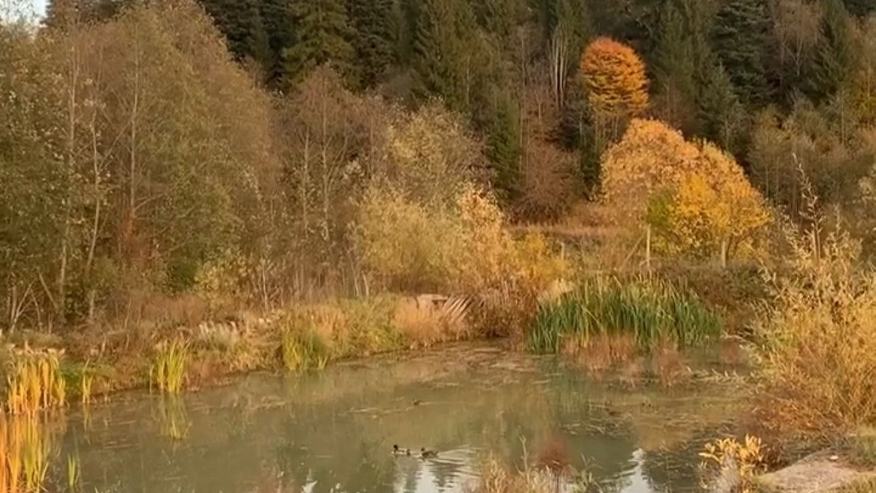 Photo of Others in Gresu