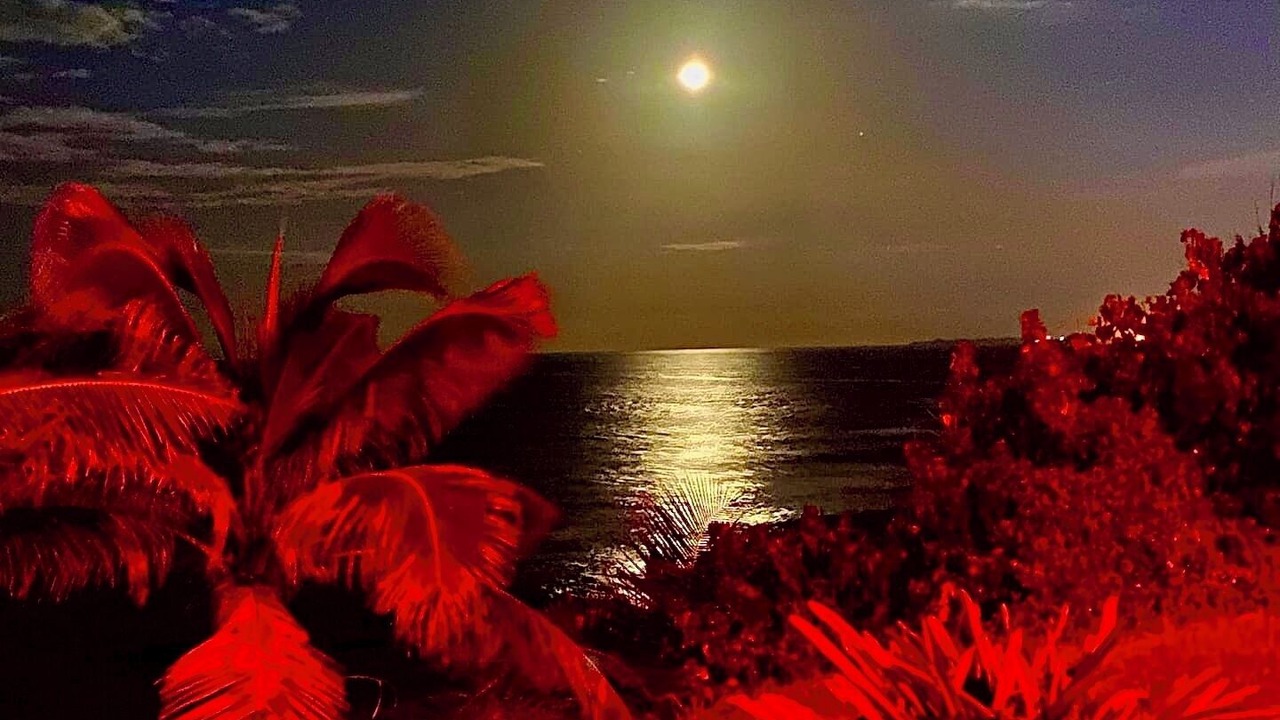 Photo of Others in Arecibo