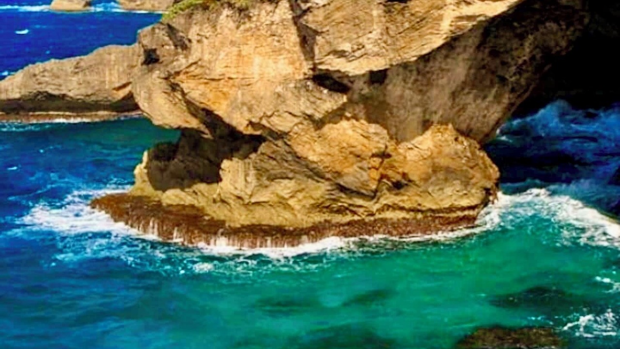 Photo of Others in Arecibo