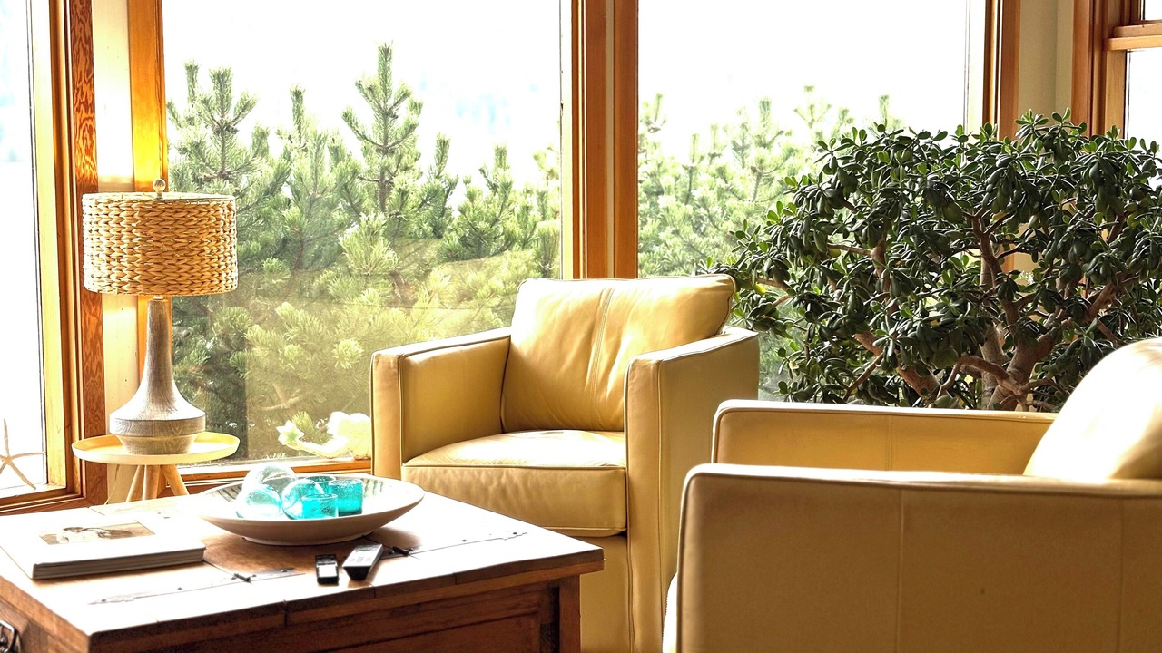 Photo of Livingroom in Nelson