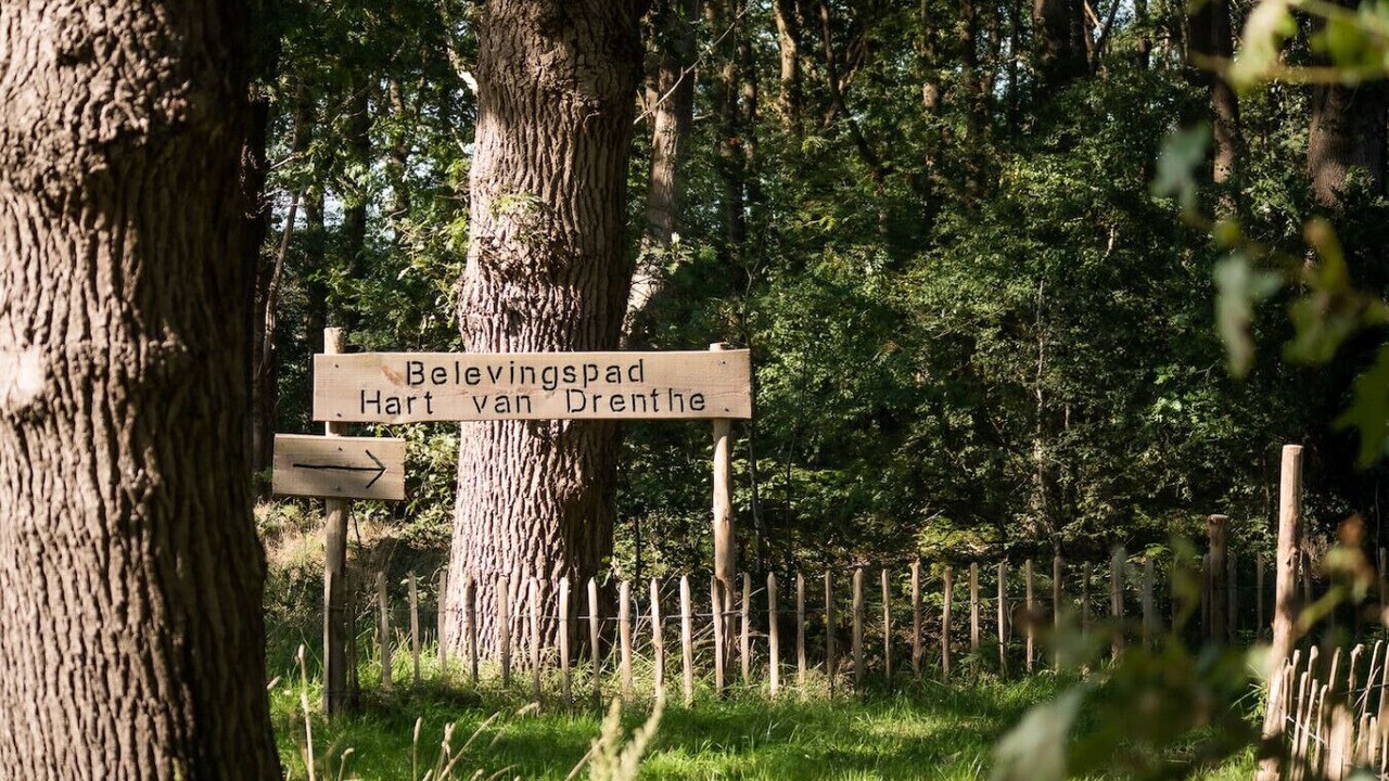 Photo of Others in Zwiggelte