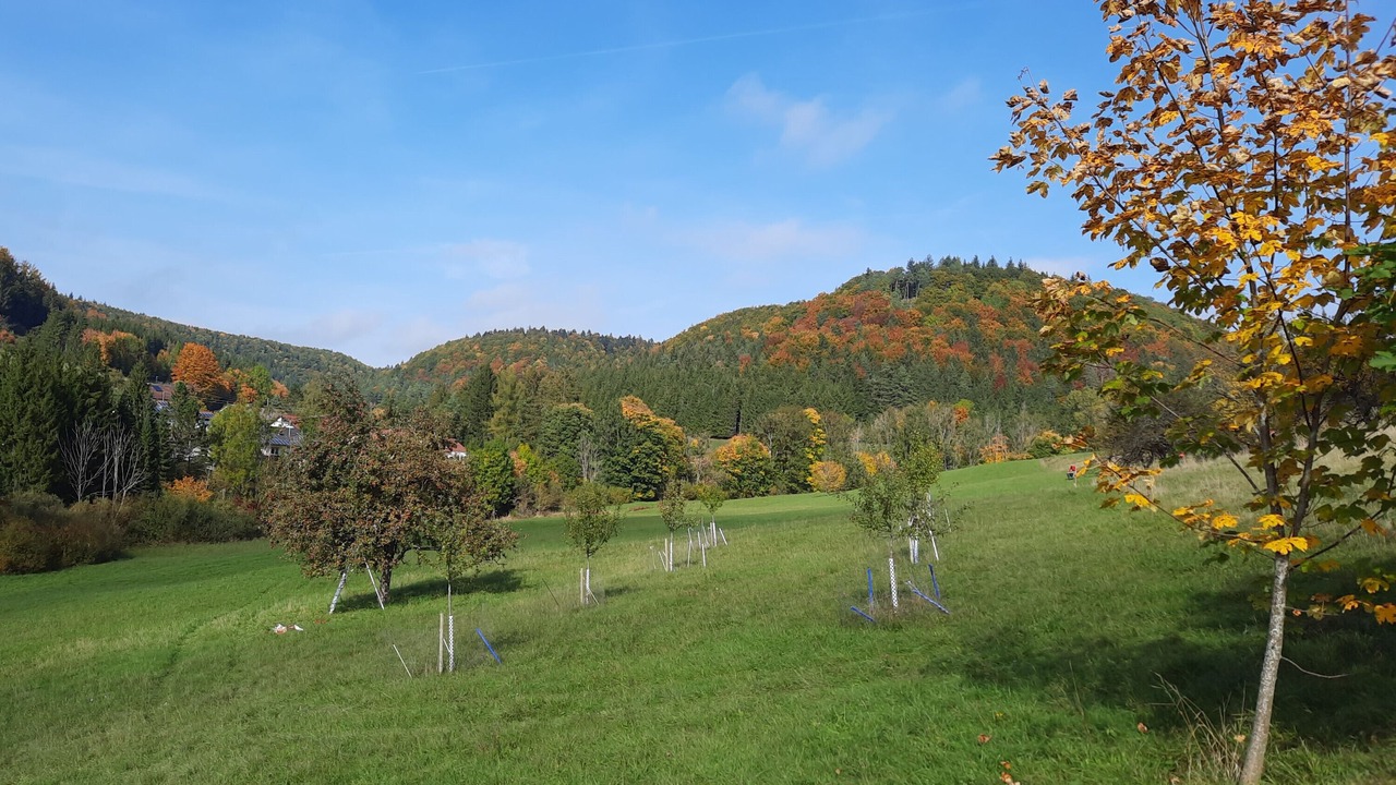 Photo of Others in Albstadt