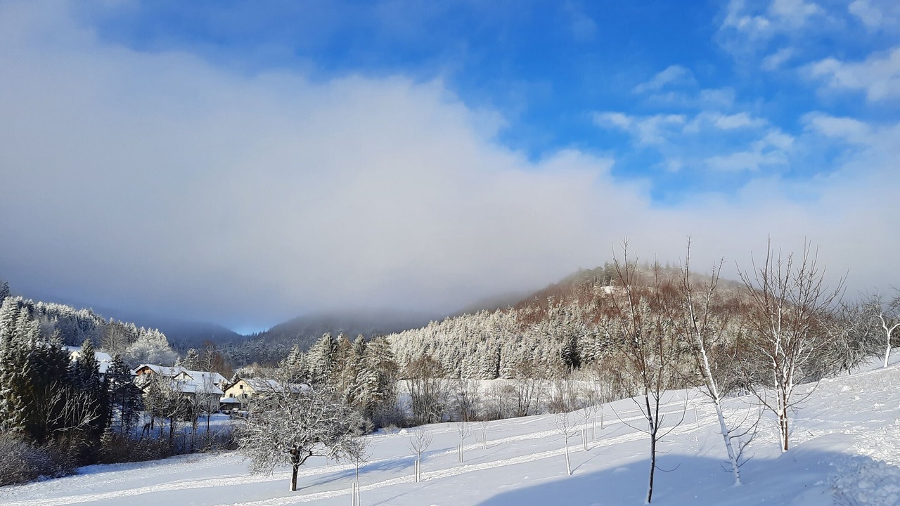 Photo of Others in Albstadt