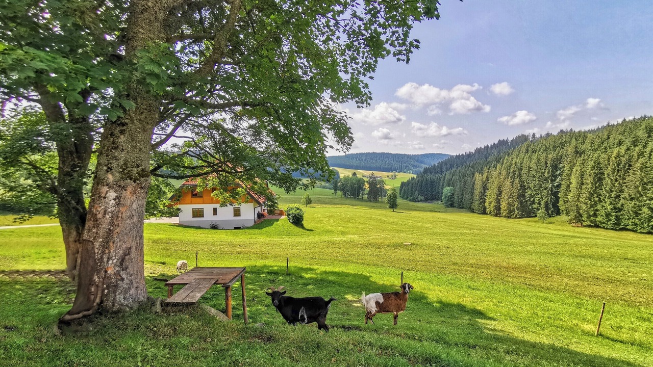Photo of Others in Schwarzenbach