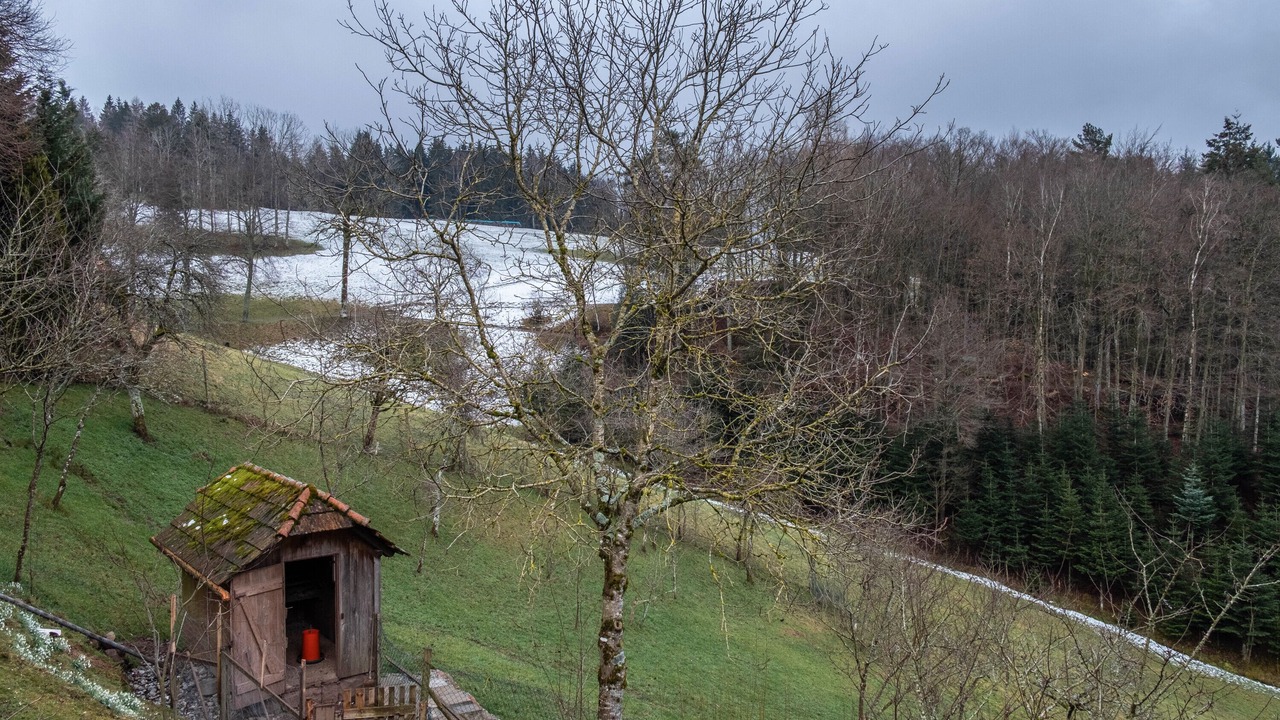 Photo of Outdoor in Oberwolfach