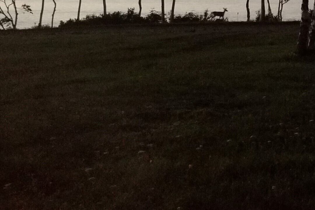 Photo of Others in Black Rock