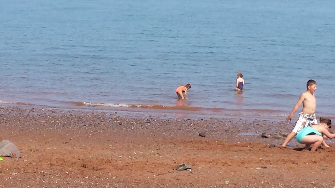 Photo of Others in Black Rock