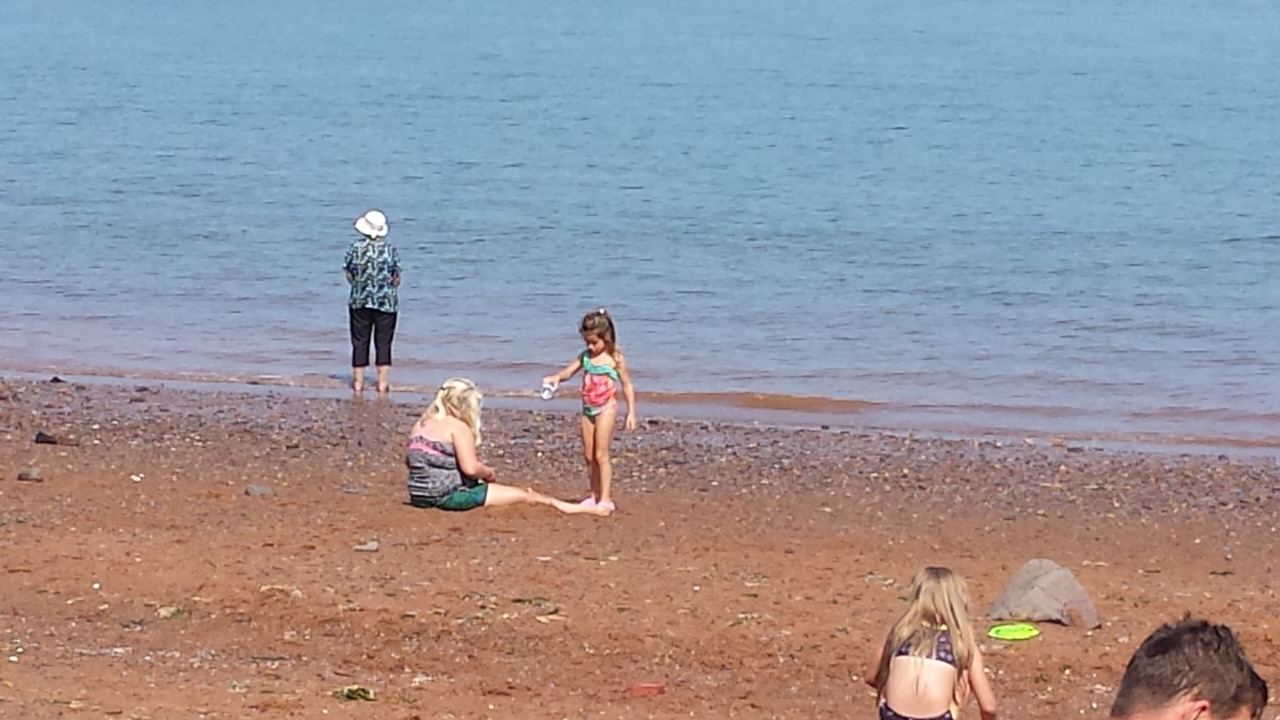 Photo of Others in Black Rock