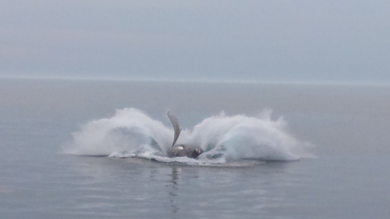 Photo of Others in Black Rock