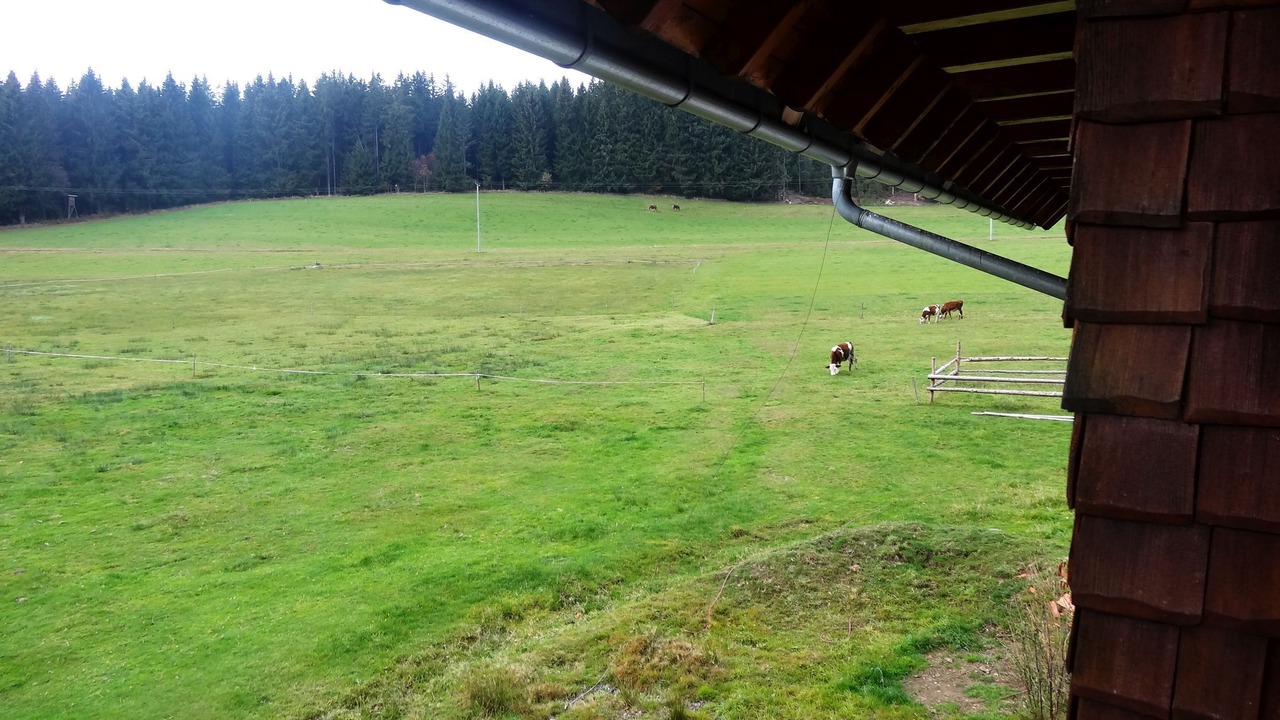 Photo of Others in Schoenwald