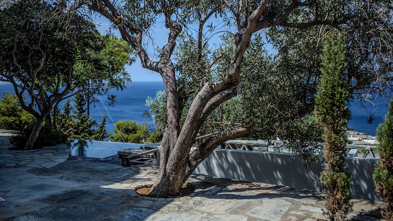 Photo of Outdoor in Koundouros