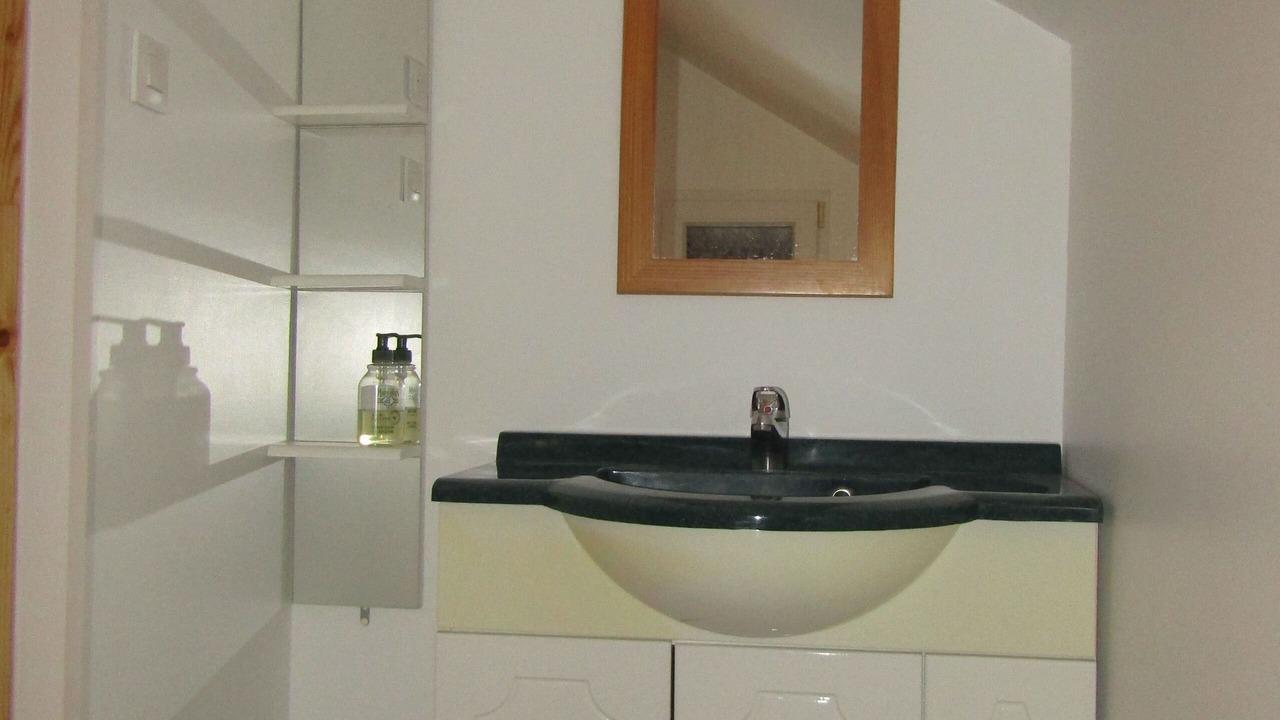 Photo of Bathroom in Saint-Maurice-sur-Moselle