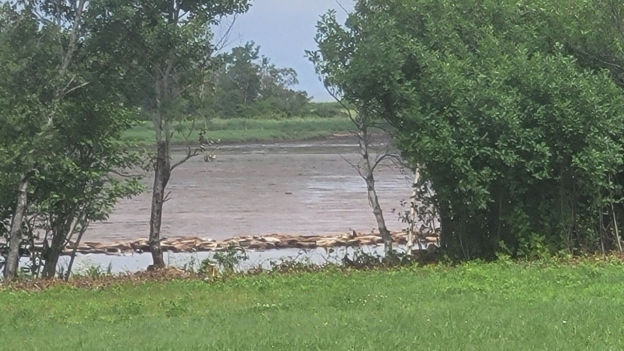 Photo of Others in Port Philip