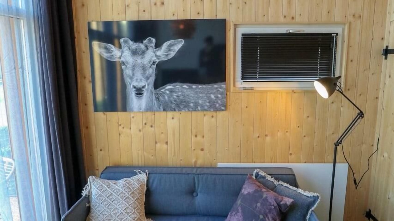 Photo of Livingroom in Velsen-Zuid