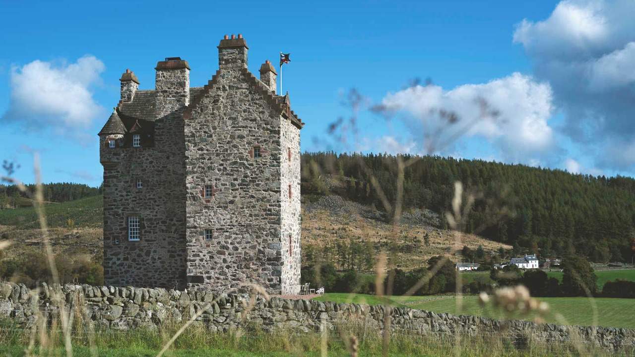 Photo of Others in Blairgowrie