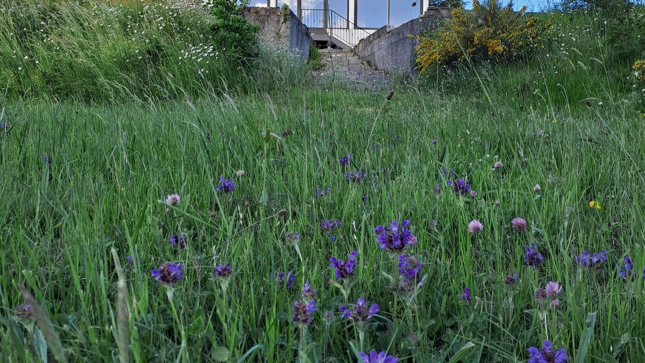 Photo of Outdoor in Pradelles-Cabardes